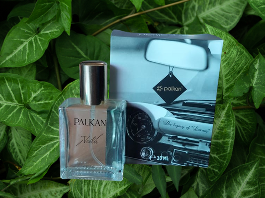 Alixir Car perfume